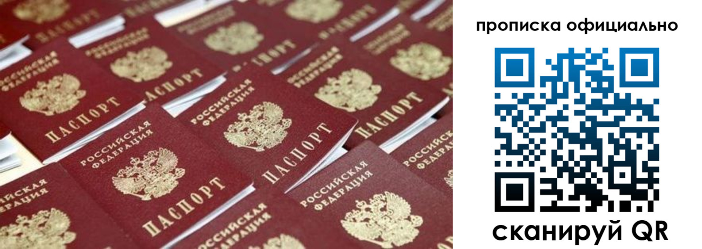 прописка гарантия в Бологом